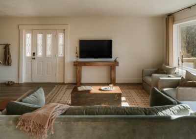 Cozy living room with sofas and television